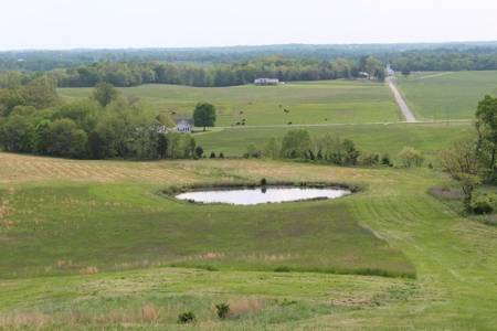 327 Acre Edmonson Kentucky Crop, Cattle & Hunting Farm - image 26