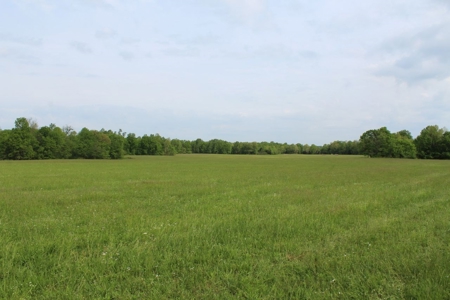 327 Acre Edmonson Kentucky Crop, Cattle & Hunting Farm - image 23