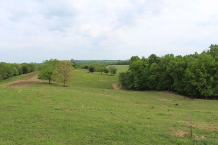327 Acre Edmonson Kentucky Crop, Cattle & Hunting Farm - image 13