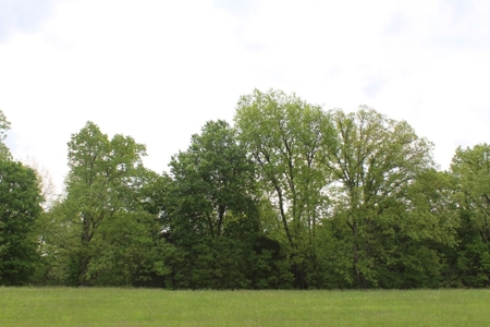 327 Acre Edmonson Kentucky Crop, Cattle & Hunting Farm - image 44