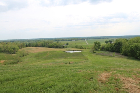 327 Acre Edmonson Kentucky Crop, Cattle & Hunting Farm - image 27