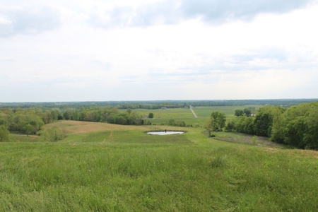 327 Acre Edmonson Kentucky Crop, Cattle & Hunting Farm - image 24