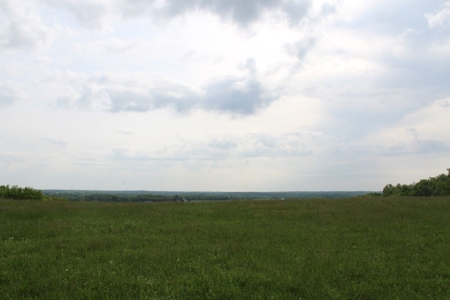 327 Acre Edmonson Kentucky Crop, Cattle & Hunting Farm - image 43