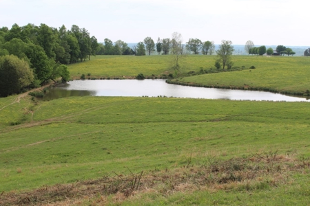 327 Acre Edmonson Kentucky Crop, Cattle & Hunting Farm - image 16