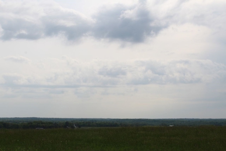 327 Acre Edmonson Kentucky Crop, Cattle & Hunting Farm - image 42