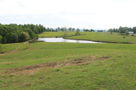 327 Acre Edmonson Kentucky Crop, Cattle & Hunting Farm - image 15