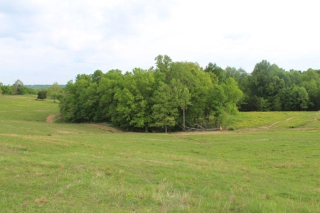 327 Acre Edmonson Kentucky Crop, Cattle & Hunting Farm - image 12