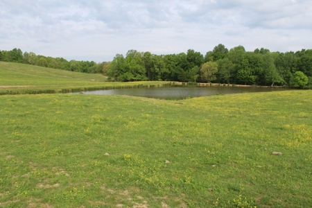 327 Acre Edmonson Kentucky Crop, Cattle & Hunting Farm - image 2