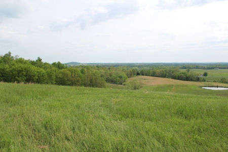 327 Acre Edmonson Kentucky Crop, Cattle & Hunting Farm - image 25