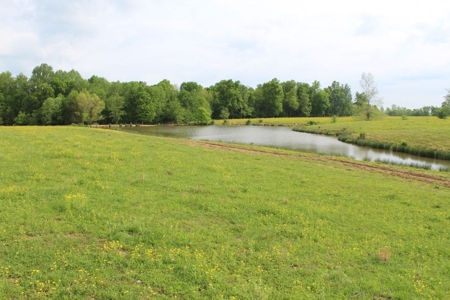 327 Acre Edmonson Kentucky Crop, Cattle & Hunting Farm - image 7