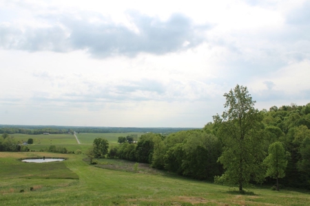 327 Acre Edmonson Kentucky Crop, Cattle & Hunting Farm - image 29
