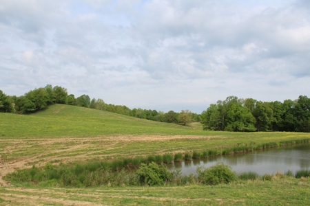 327 Acre Edmonson Kentucky Crop, Cattle & Hunting Farm - image 5