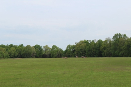 327 Acre Edmonson Kentucky Crop, Cattle & Hunting Farm - image 33