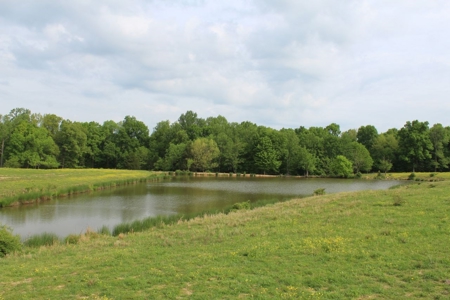 327 Acre Edmonson Kentucky Crop, Cattle & Hunting Farm - image 4