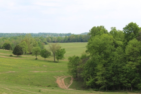 327 Acre Edmonson Kentucky Crop, Cattle & Hunting Farm - image 14