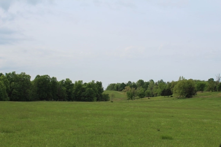 327 Acre Edmonson Kentucky Crop, Cattle & Hunting Farm - image 40