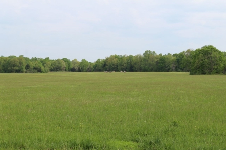 327 Acre Edmonson Kentucky Crop, Cattle & Hunting Farm - image 21