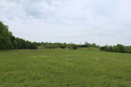 327 Acre Edmonson Kentucky Crop, Cattle & Hunting Farm - image 31