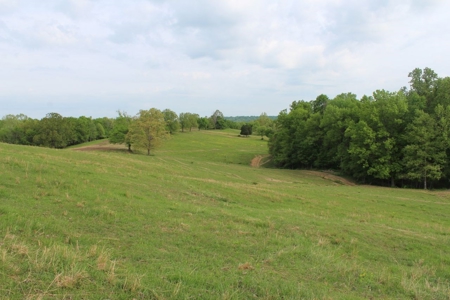 327 Acre Edmonson Kentucky Crop, Cattle & Hunting Farm - image 11