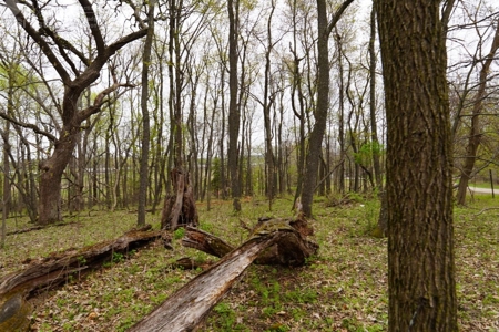 34 AC Dalton Wisconsin Live Land Auction 6/15/19 1PM - image 37