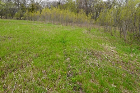 34 AC Dalton Wisconsin Live Land Auction 6/15/19 1PM - image 32