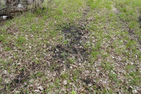 34 AC Dalton Wisconsin Live Land Auction 6/15/19 1PM - image 11