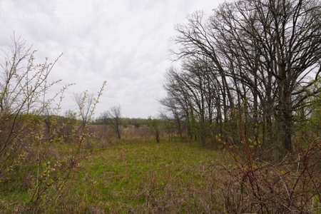 34 AC Dalton Wisconsin Live Land Auction 6/15/19 1PM - image 39