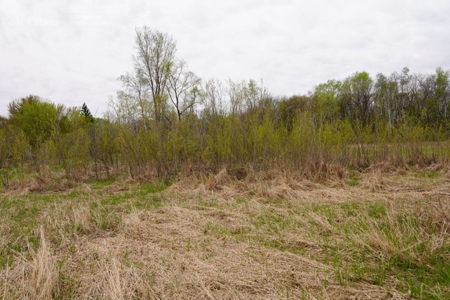 34 AC Dalton Wisconsin Live Land Auction 6/15/19 1PM - image 29