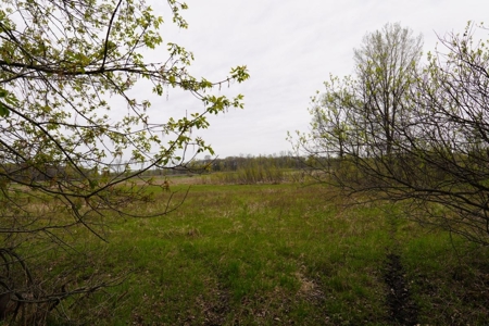 34 AC Dalton Wisconsin Live Land Auction 6/15/19 1PM - image 12