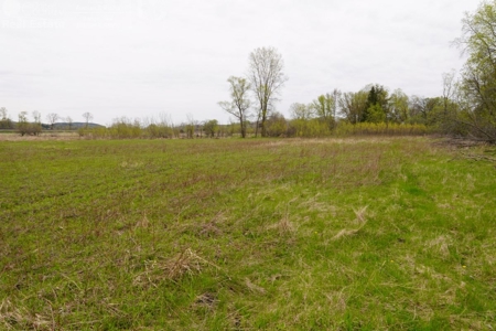 34 AC Dalton Wisconsin Live Land Auction 6/15/19 1PM - image 19
