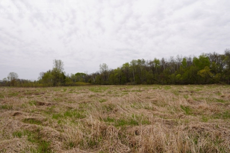 34 AC Dalton Wisconsin Live Land Auction 6/15/19 1PM - image 28