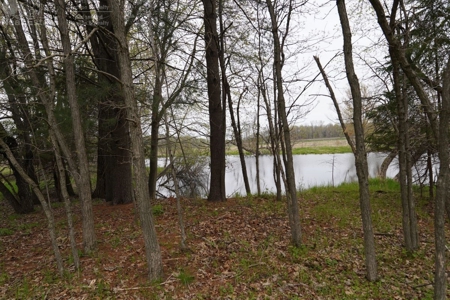 34 AC Dalton Wisconsin Live Land Auction 6/15/19 1PM - image 4