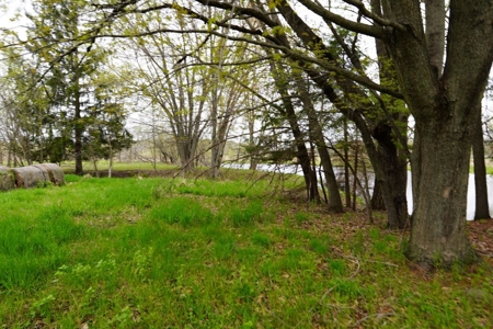 34 AC Dalton Wisconsin Live Land Auction 6/15/19 1PM - image 5