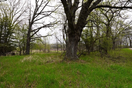 34 AC Dalton Wisconsin Live Land Auction 6/15/19 1PM - image 2