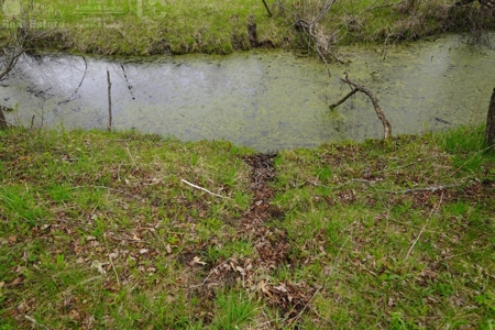34 AC Dalton Wisconsin Live Land Auction 6/15/19 1PM - image 9
