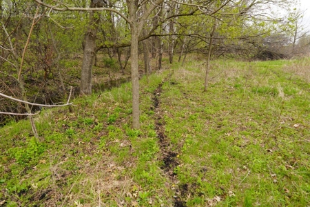 34 AC Dalton Wisconsin Live Land Auction 6/15/19 1PM - image 23