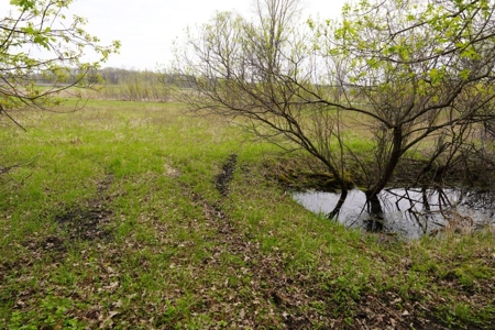 34 AC Dalton Wisconsin Live Land Auction 6/15/19 1PM - image 10