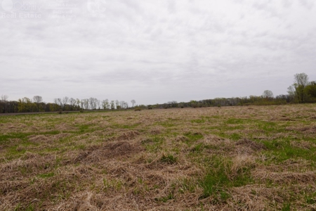 34 AC Dalton Wisconsin Live Land Auction 6/15/19 1PM - image 25