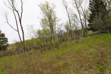 34 AC Dalton Wisconsin Live Land Auction 6/15/19 1PM - image 7