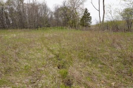 34 AC Dalton Wisconsin Live Land Auction 6/15/19 1PM - image 6