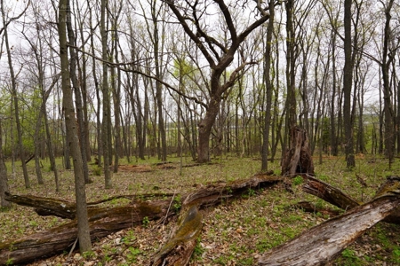 34 AC Dalton Wisconsin Live Land Auction 6/15/19 1PM - image 36