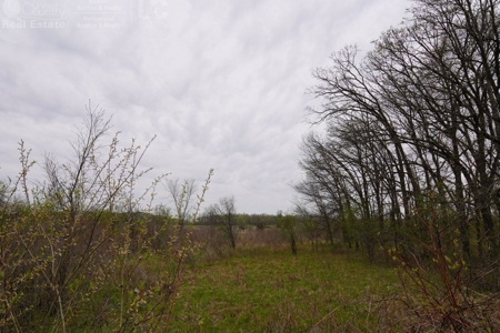 34 AC Dalton Wisconsin Live Land Auction 6/15/19 1PM - image 40