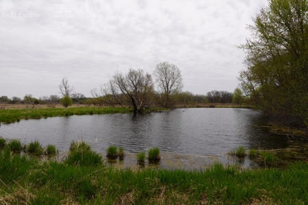 34 AC Dalton Wisconsin Live Land Auction 6/15/19 1PM - image 33
