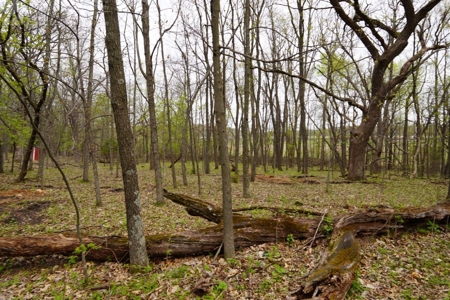 34 AC Dalton Wisconsin Live Land Auction 6/15/19 1PM - image 38