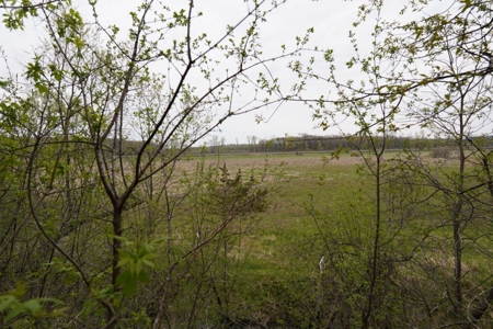 34 AC Dalton Wisconsin Live Land Auction 6/15/19 1PM - image 18