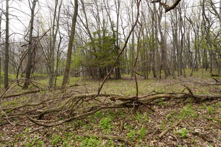 34 AC Dalton Wisconsin Live Land Auction 6/15/19 1PM - image 14