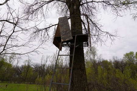 34 AC Dalton Wisconsin Live Land Auction 6/15/19 1PM - image 30