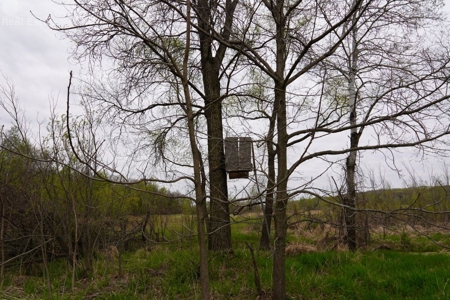 34 AC Dalton Wisconsin Live Land Auction 6/15/19 1PM - image 31