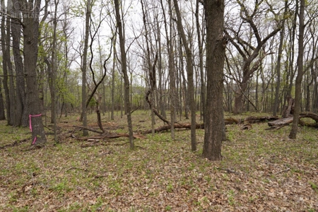 34 AC Dalton Wisconsin Live Land Auction 6/15/19 1PM - image 35