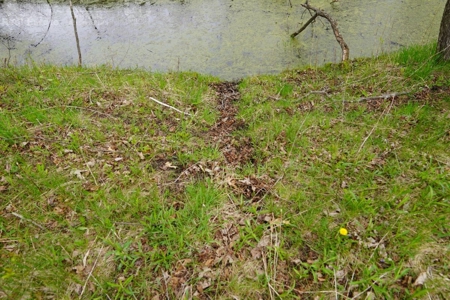 34 AC Dalton Wisconsin Live Land Auction 6/15/19 1PM - image 8